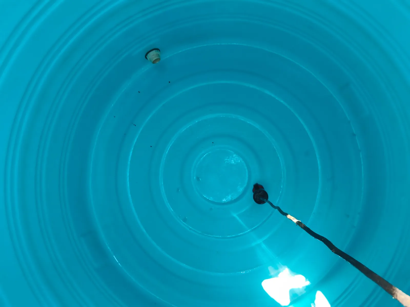 Sanitised blue water tank interior after professional cleaning with clear water
